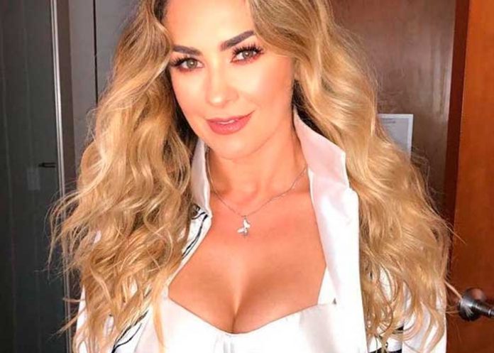 aracaly arambula