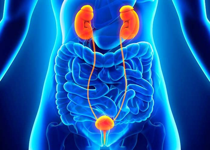 portada_8Uf4aMo vejiga