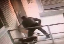 Mujer se salva de morir apuñalada gracias a su perro (Video)