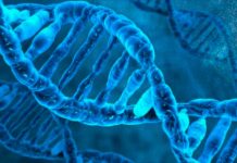 La técnica de Alan Turing podría mejorar detección del cáncer cancer