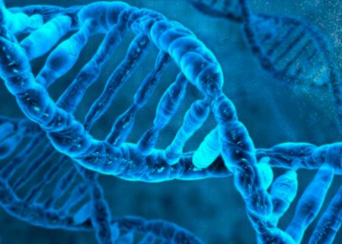 portada_AWHFZjC cancer