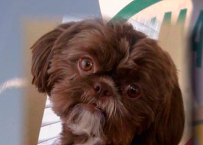 portada_Axuu8Yf emma