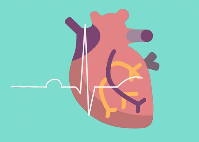 portada_B0ujOf5 carnes rojas