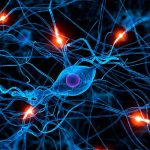 Usan agua para revelar los secretos de las neuronas moleculas de agua