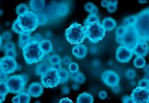 Todo lo que debes saber del herpes genital herpes genital