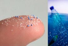 Encuentran microplástico en heces humanas heces humanas