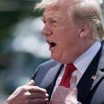 Trump apelará la decisión de un juez sobre el muro fronterizo donald trump