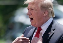 Trump apelará la decisión de un juez sobre el muro fronterizo donald trump