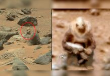 Un «soldado extraterrestre» fue captado por las cámaras de la Nasa (Video) marte