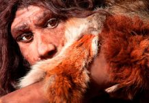 Un extraño caso: El fósil que cambia TODA la prehistoria