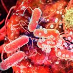 Premio Nobel de Medicina por crear el mejor tratamiento contra el cáncer cancer