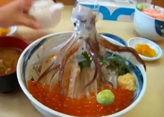 portada_MEvbEKG sashimi