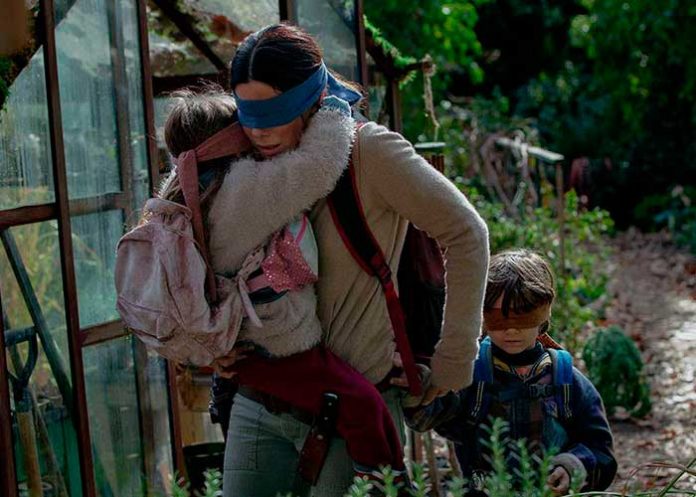 portada_OS0dGoG bird box