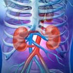 Usar mucha testosterona puede causar cáncer testosterona