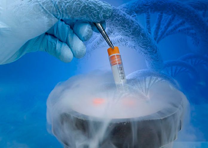 congelacion de ovulos