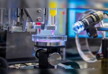 Avanzan en la producción de órganos completos para trasplantes generacion mecanica