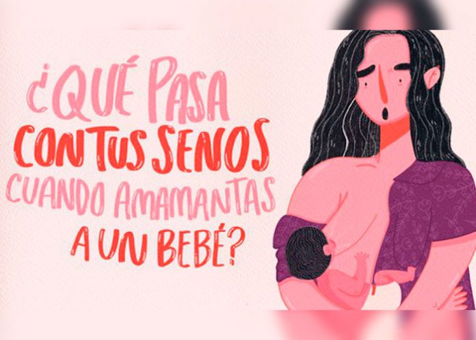 portada_Rd4VGjJ amamantar
