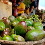 parque nacional de ferias