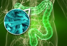 Un grupo de científicos descubrió una de las causas del autismo microbioma