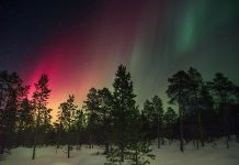 Steve no es una aurora boreal, pero… ¿qué es entonces? aurora bloreal