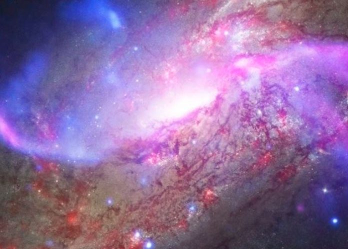 portada_U1JrpzV rayos x