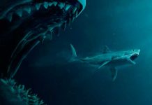 ¿El megalodón pudo haber sobrevivido? Esta es la razón de su extinción