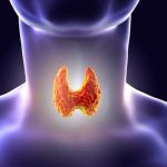 Síntomas que indican que tu tiroides no está funcionando bien tiroides
