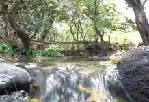 Finca ecoturística inaugurará complejo de piscina para Semana Santa