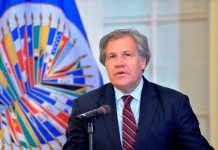 Venezuela anunció que denunciará a Luis Almagro ante la ONU luis almagro