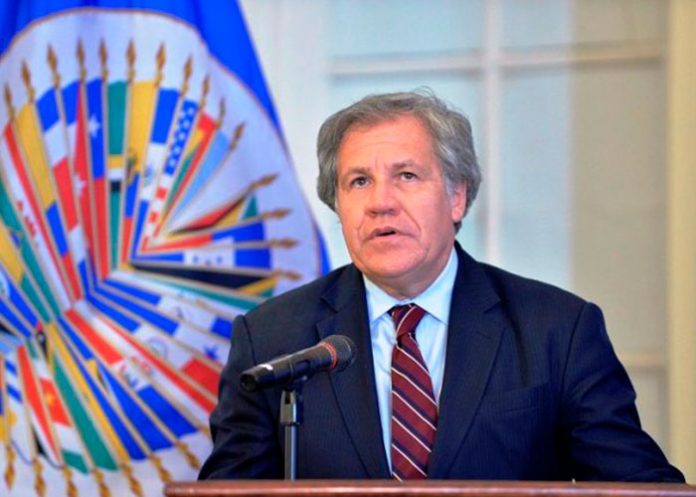 luis almagro