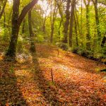 tierra respirando