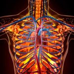 comunidad cientifica