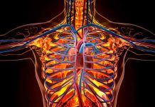 Nuevo órgano del cuerpo humano puede ser clave para estudiar el cáncer comunidad cientifica