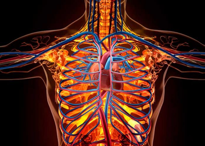 comunidad cientifica