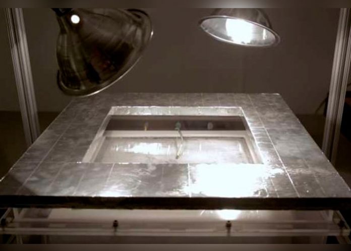 portada_b9pyD4x tecnologia