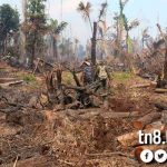 En Fotos: Incendio forestal en la Reserva Indio Maíz incendio forestal en reserva indio maiz