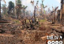 En Fotos: Incendio forestal en la Reserva Indio Maíz incendio forestal en reserva indio maiz
