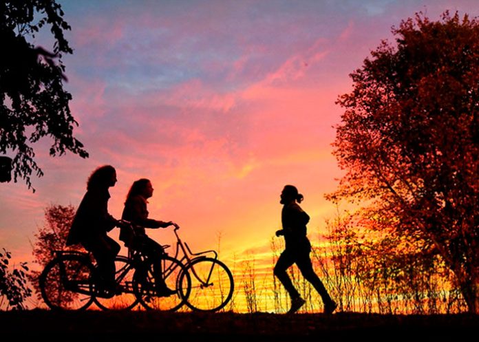 estrategias terapeuticas