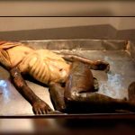 Una rara especie marina fue capturada en Indonesia (Video) indonesia