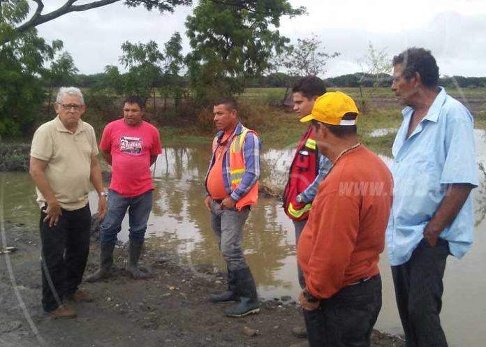 portada_iqtAAox granada