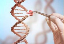Universidad china investigará la supuesta modificación genética de gemelas china