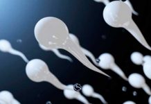Para ser un hombre sano debes eyacular esta cantidad de esperma cancer de prostata