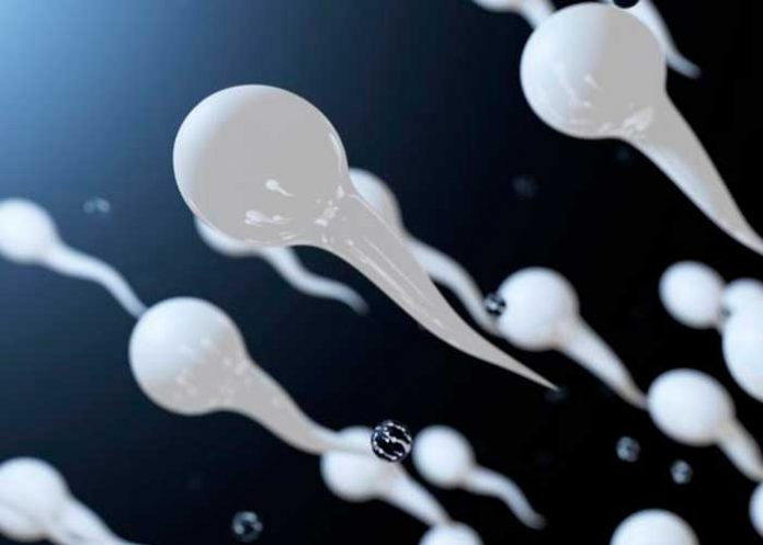 portada_jgaruws cancer de prostata