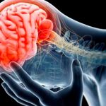 Fármaco que frena los tumores del cerebro gioblastoma