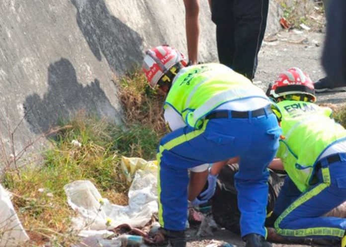 portada_kXJgf3d perros callejeros