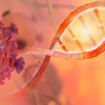 Una esponja contra los efectos de la quimioterapia quimioterapia