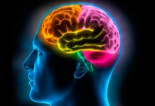 El desequilibrio del pH en el cerebro puede provocar alzhéimer
