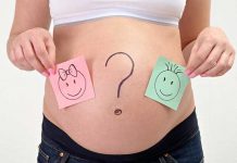 ¿Quién o qué determina el sexo del bebé? composicion cromosomica