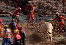 Brasil: Riesgo de colapsos de minas obligan a evacuar a cientos de personas colapso de minas
