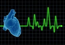 Crean un prototipo para monitorear pulso cardiaco en tiempo real pulso cardiaco